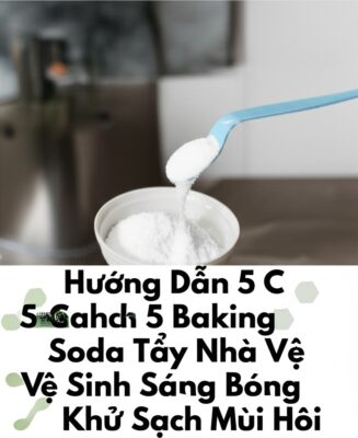 Hướng Dẫn 5 Cách Dùng Baking Soda Tẩy Nhà Vệ Sinh Sáng Bóng, Khử Sạch Mùi Hôi