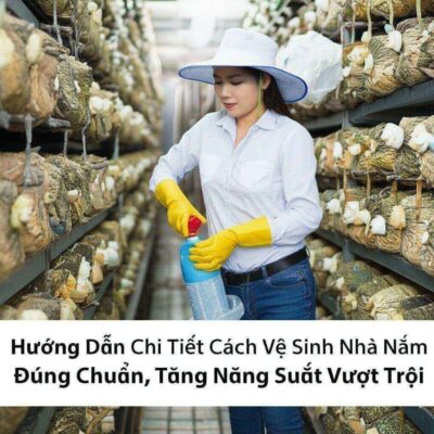 Hướng Dẫn Chi Tiết Cách Vệ Sinh Nhà Nấm Đúng Chuẩn, Tăng Năng Suất Vượt Trội