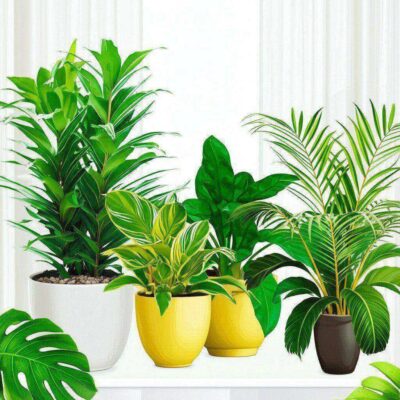 Top 10+ Cây Giúp Khử Mùi Trong Nhà Vệ Sinh Hiệu Quả & Dễ Trồng Nhất